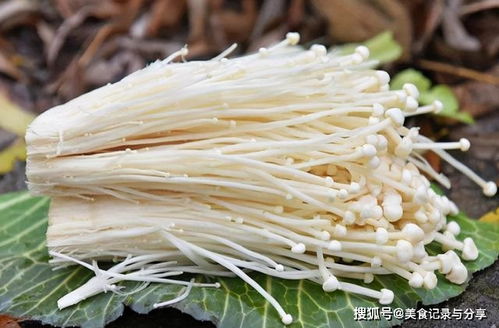 爱吃金针菇的人要注意了，我也是今天才知道，看完赶紧告诉家里人