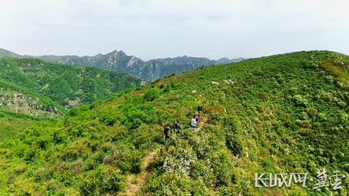 太行山补绿记 燕赵大地上的绿色蜕变