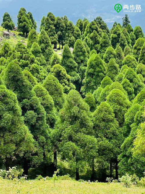 78顶➕望君顶休闲重装 |户外运动|两步路户外旅游约伴网