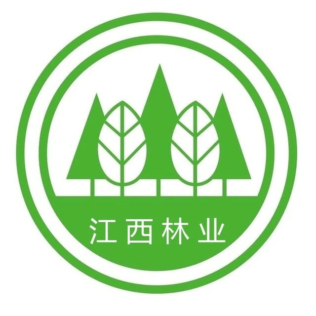 《关于加快推进竹产业高质量发展的意见》贯彻实施新闻发布会在南昌召