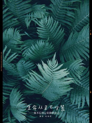 第49天 &bull;《苍绿》这苍老的绿色在空气中流动,流进我的眼睛,流进我